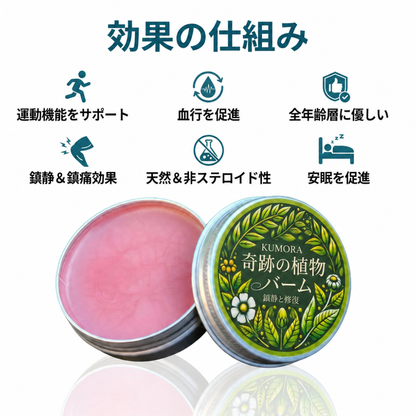 KIVENA 奇跡の植物 むくみケアバーム